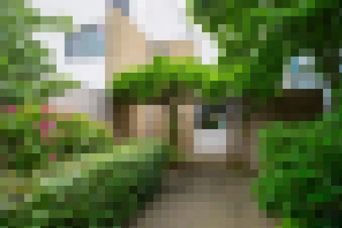 Magnoliahove 28 Kwintsheul thumbnail 43