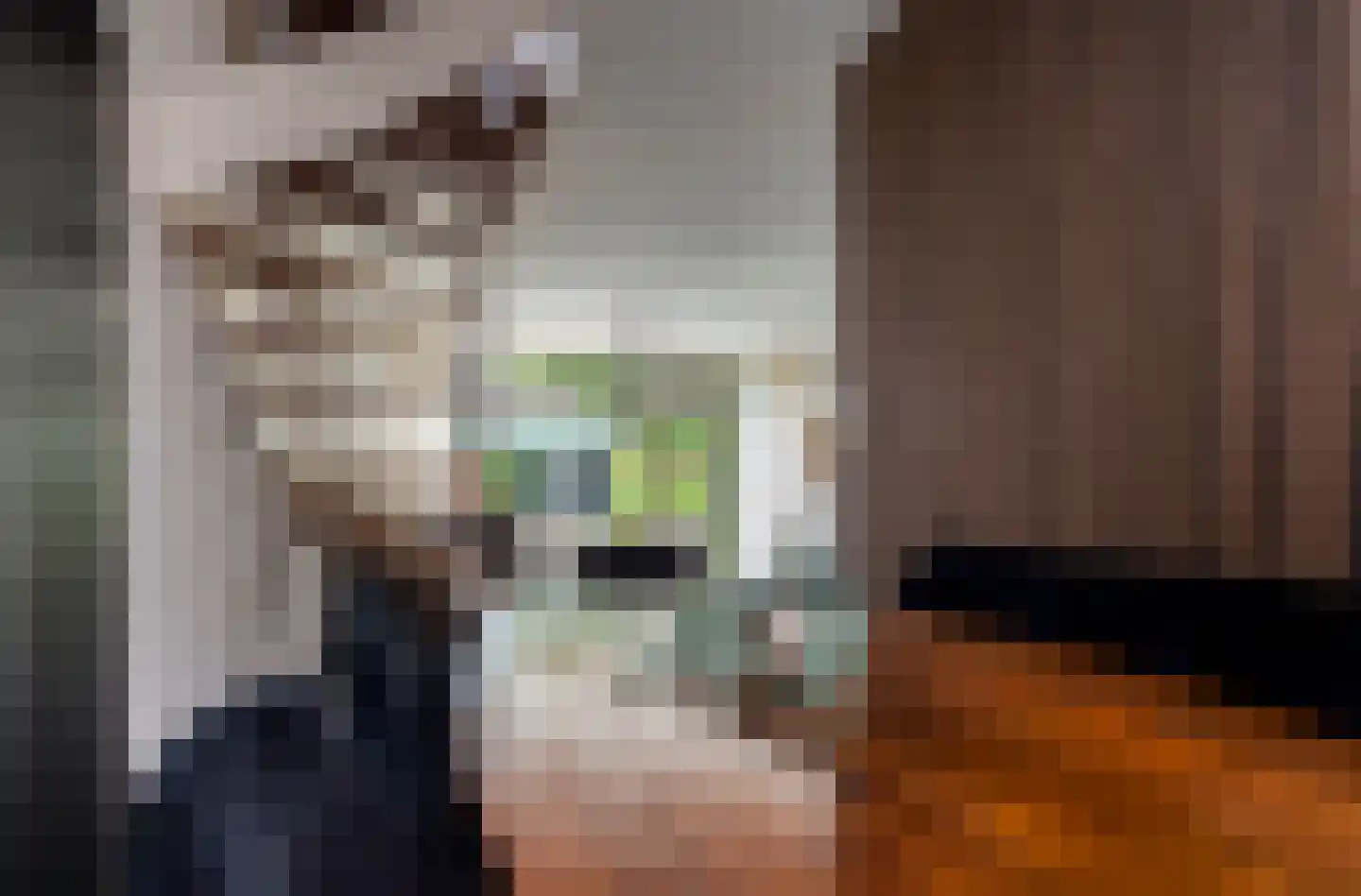 Magnoliahove 28 Kwintsheul thumbnail 6