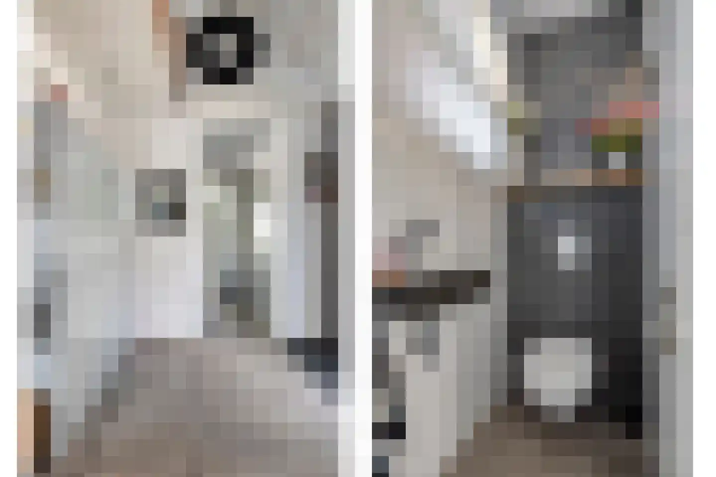 Magnolialaan 1 Yerseke thumbnail 10