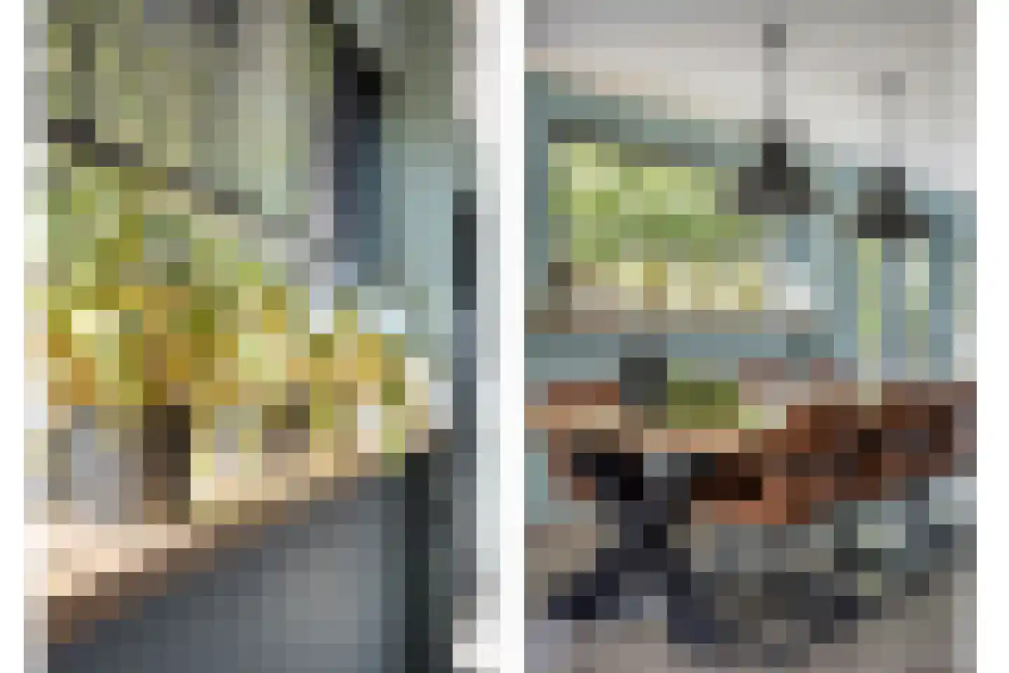 Magnolialaan 1 Yerseke thumbnail 21