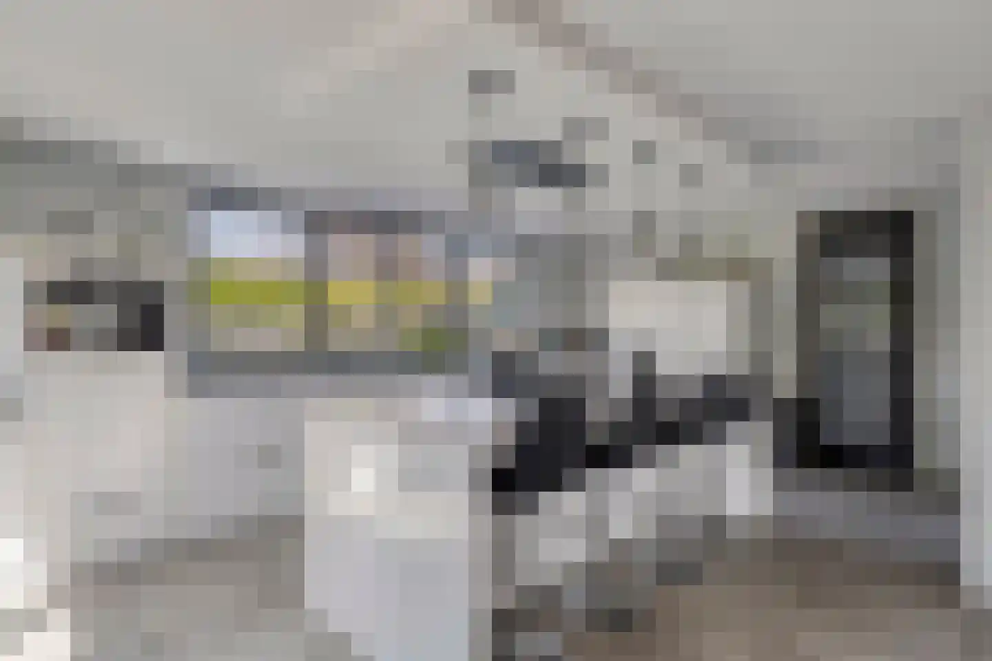 Magnolialaan 1 Yerseke thumbnail 24