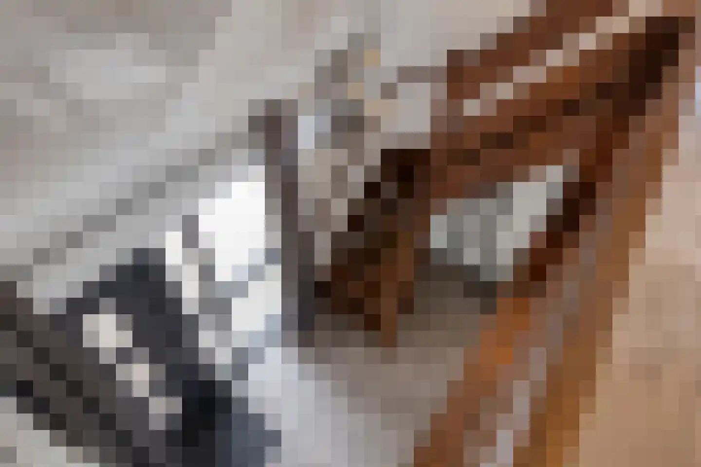 Magnolialaan 1 Yerseke thumbnail 34