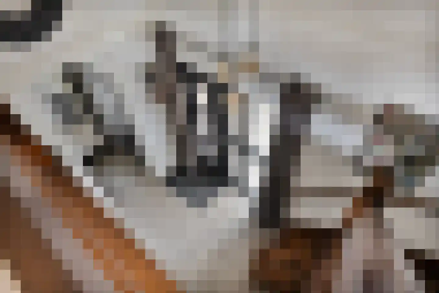 Magnolialaan 1 Yerseke thumbnail 35
