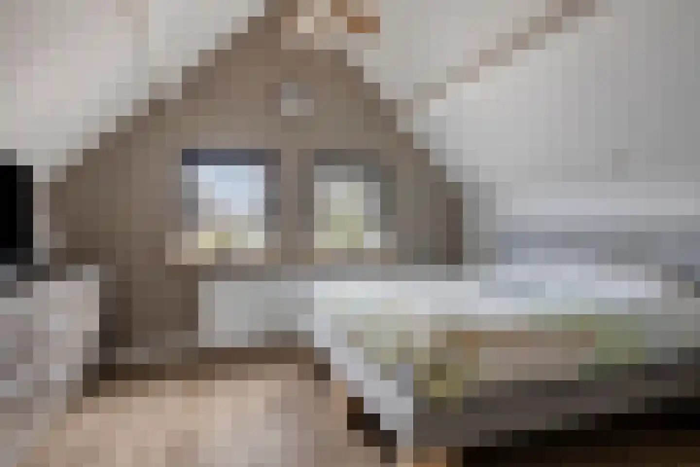 Magnolialaan 1 Yerseke thumbnail 37