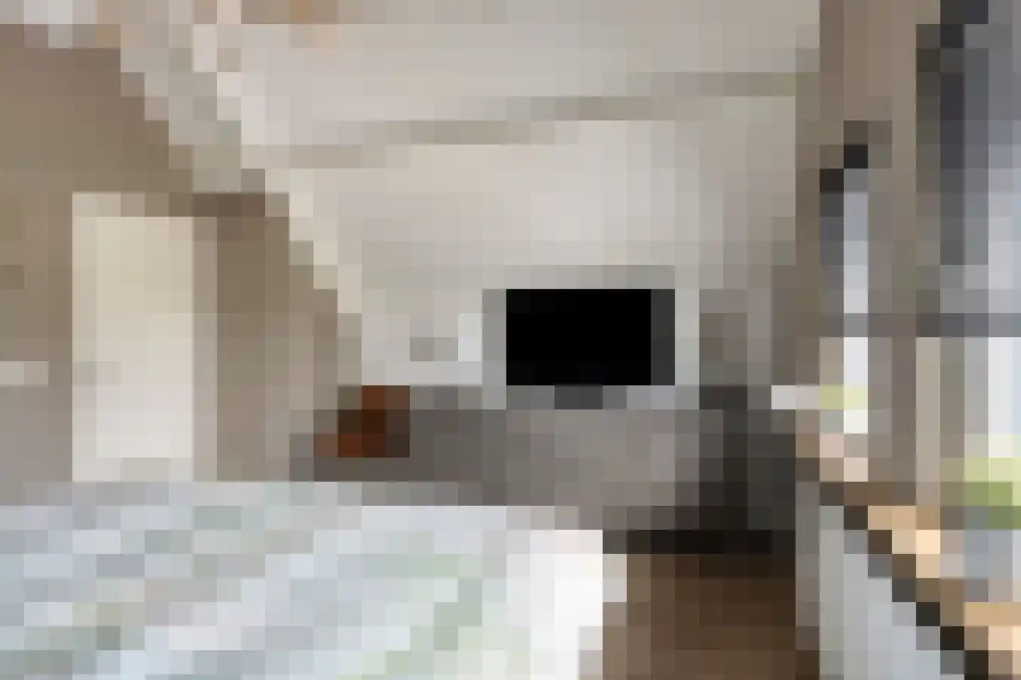 Magnolialaan 1 Yerseke thumbnail 38