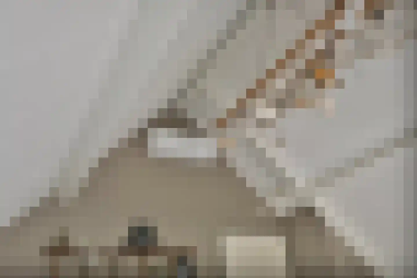 Magnolialaan 1 Yerseke thumbnail 39