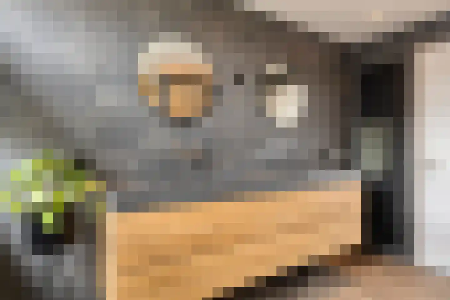 Magnolialaan 1 Yerseke thumbnail 42