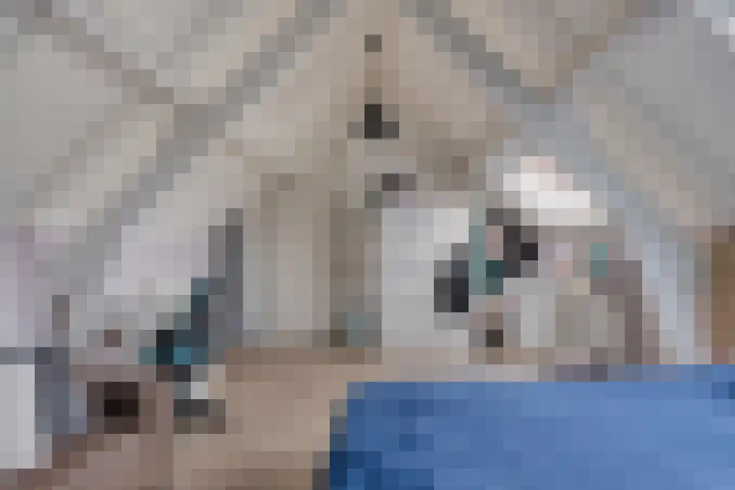 Magnolialaan 1 Yerseke thumbnail 50
