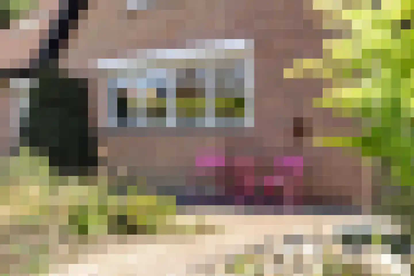 Magnolialaan 1 Yerseke thumbnail 57