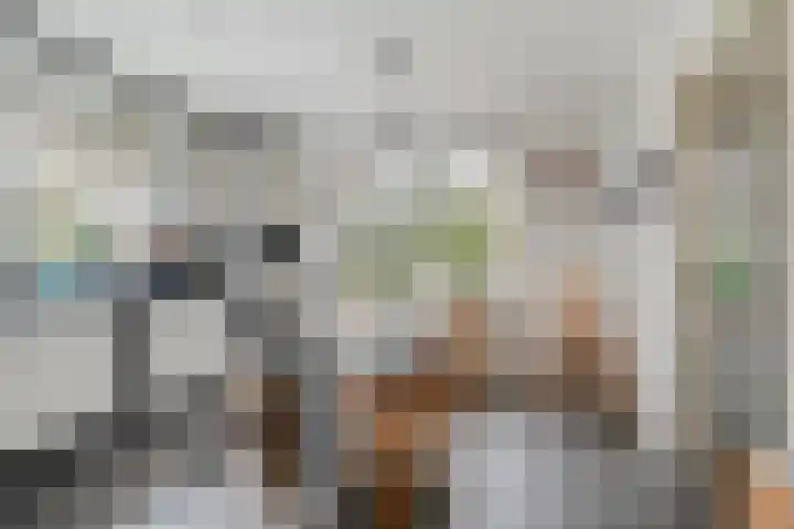 Magnolialaan 15 E Nieuwleusen thumbnail 19