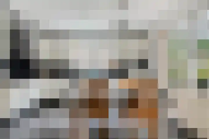 Magnolialaan 15 E Nieuwleusen thumbnail 20