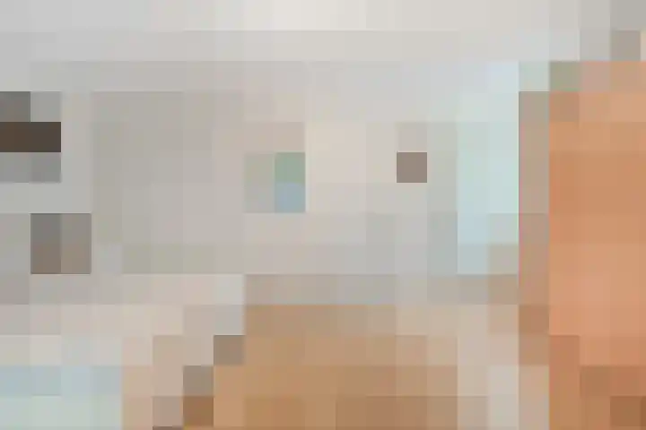 Magnolialaan 15 E Nieuwleusen thumbnail 23