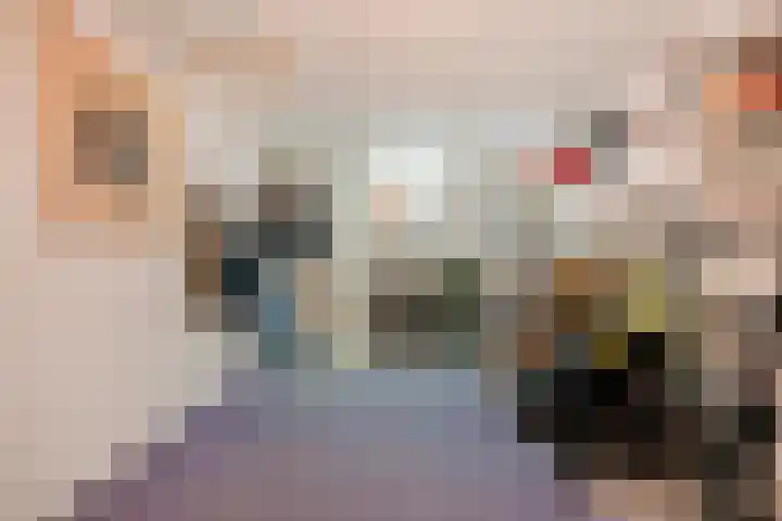 Magnolialaan 15 E Nieuwleusen thumbnail 26