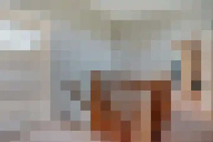 Magnolialaan 15 E Nieuwleusen thumbnail 33