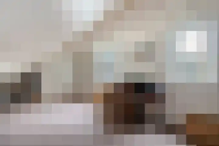 Magnolialaan 15 E Nieuwleusen thumbnail 39