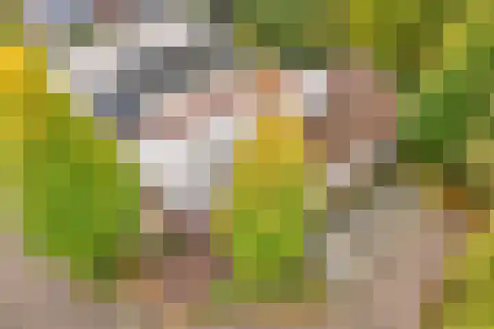 Magnolialaan 15 E Nieuwleusen thumbnail 4