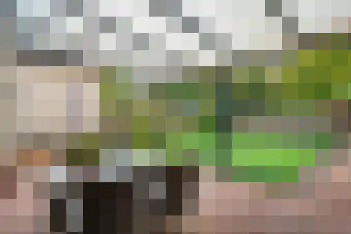 Magnolialaan 15 E Nieuwleusen thumbnail 45