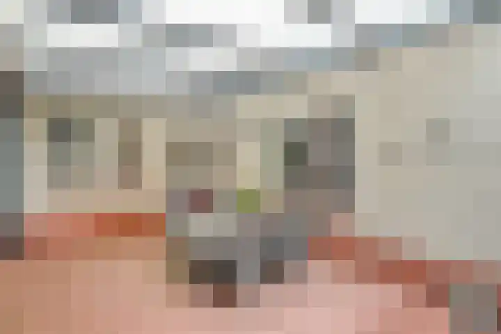 Magnolialaan 15 E Nieuwleusen thumbnail 46