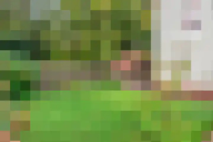 Magnolialaan 15 E Nieuwleusen thumbnail 48