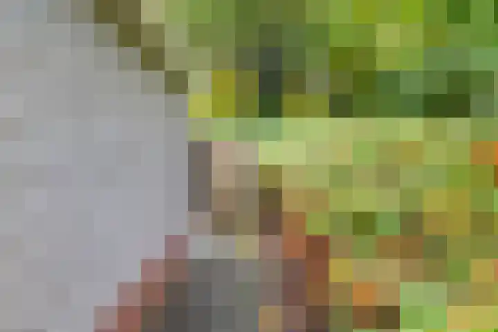 Magnolialaan 15 E Nieuwleusen thumbnail 5