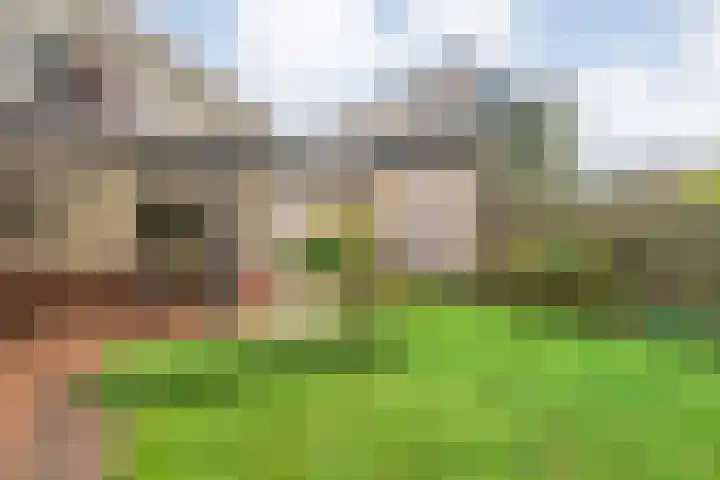 Magnolialaan 15 E Nieuwleusen thumbnail 50