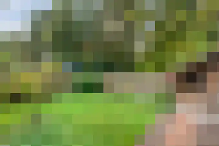 Magnolialaan 15 E Nieuwleusen thumbnail 51