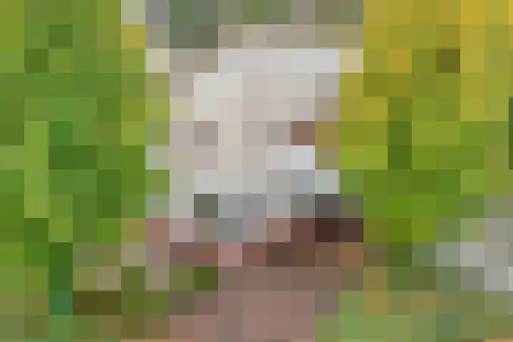 Magnolialaan 15 E Nieuwleusen thumbnail 52