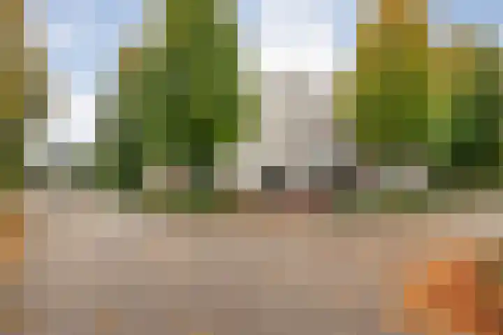 Magnolialaan 15 E Nieuwleusen thumbnail 53
