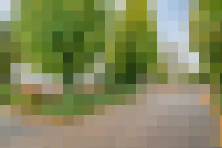 Magnolialaan 15 E Nieuwleusen thumbnail 55