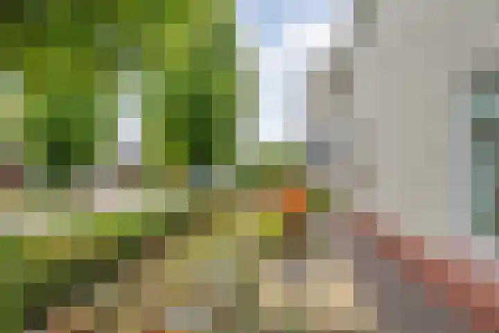 Magnolialaan 15 E Nieuwleusen thumbnail 7