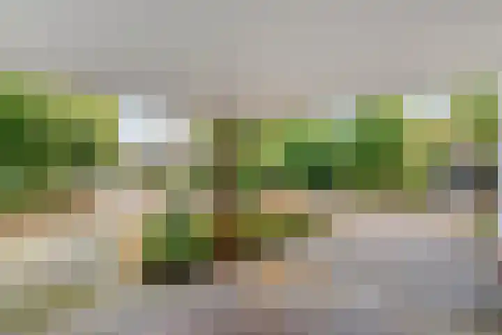 Magnolialaan 15 E Nieuwleusen thumbnail 9