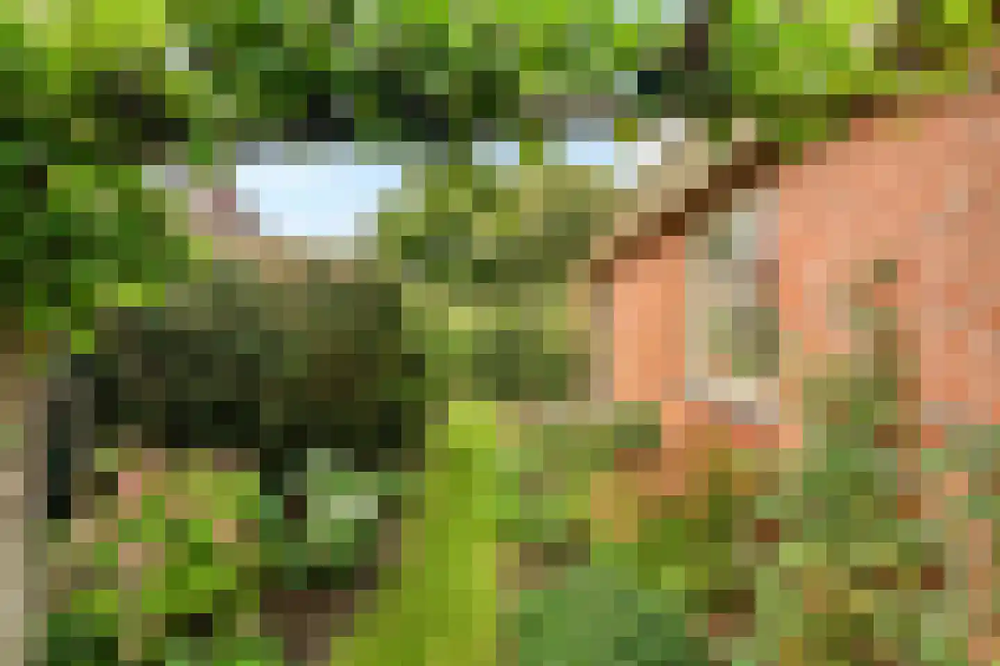 Magnolialaan 18 Ermelo thumbnail 47