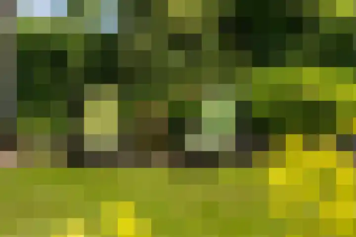 Magnolialaan 20 Ermelo thumbnail 33