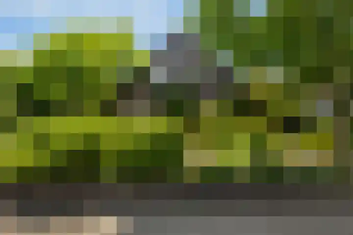 Magnolialaan 20 Ermelo thumbnail 4
