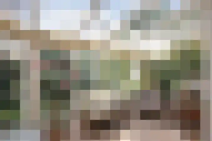Magnolialaan 20 Heelsum thumbnail 10