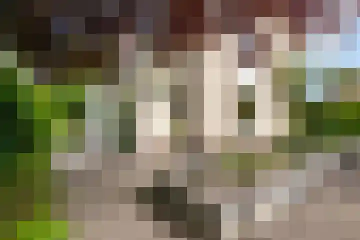 Magnolialaan 20 Heelsum thumbnail 48