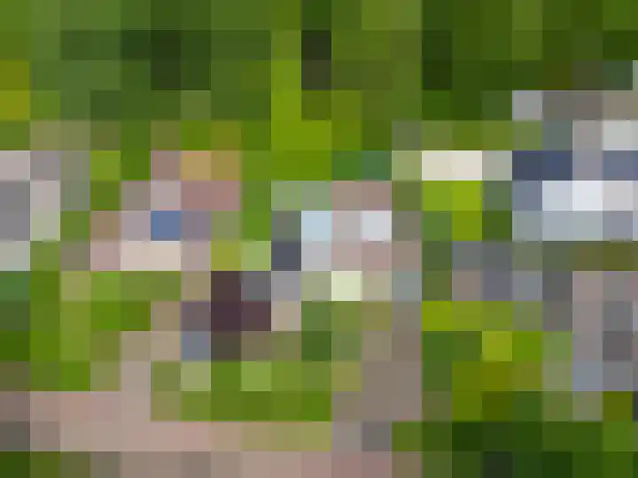 Magnolialaan 20 Heelsum thumbnail 56