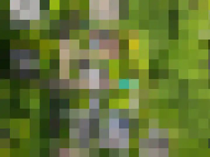 Magnolialaan 20 Heelsum thumbnail 57