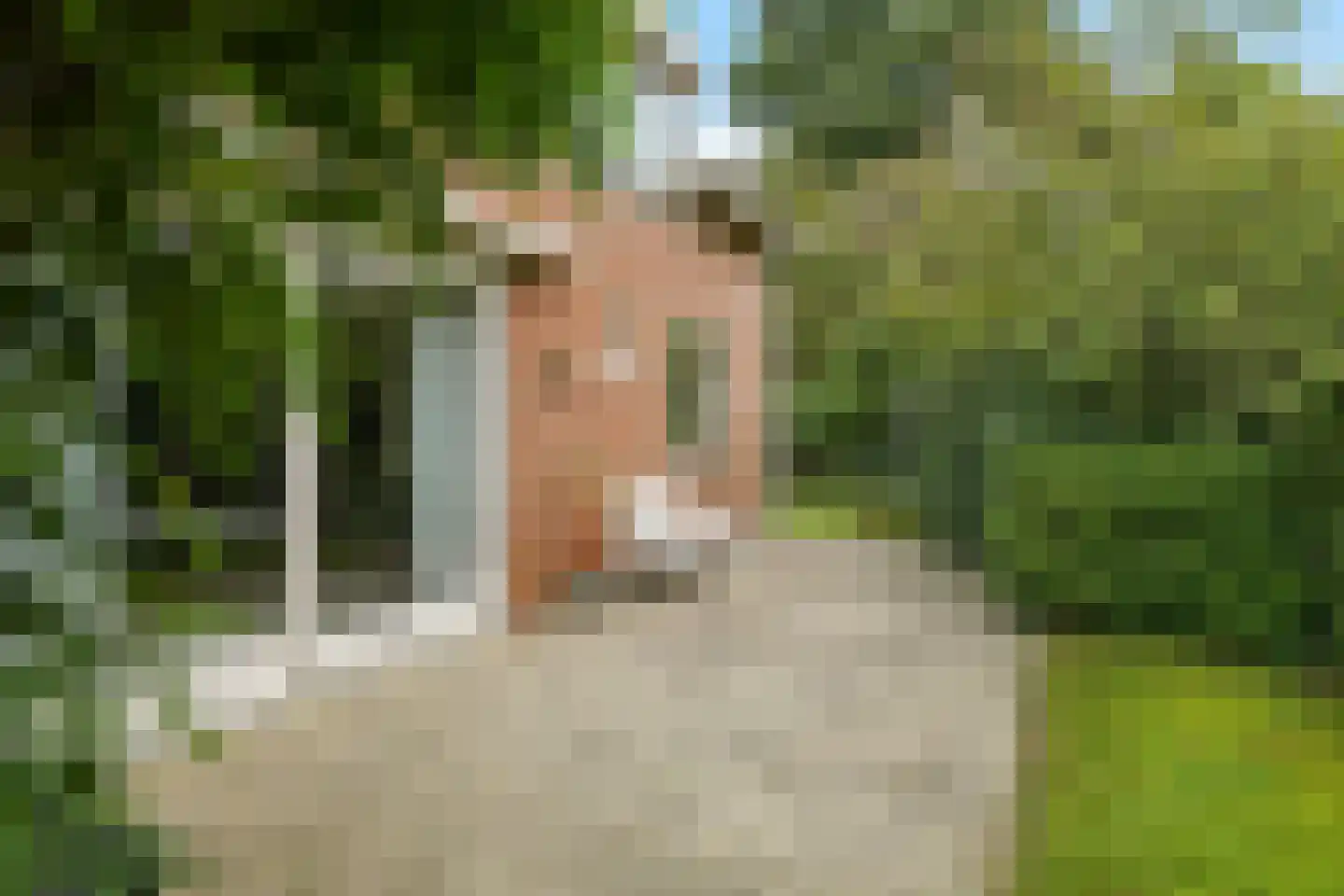 Magnolialaan 21 Heelsum thumbnail 30