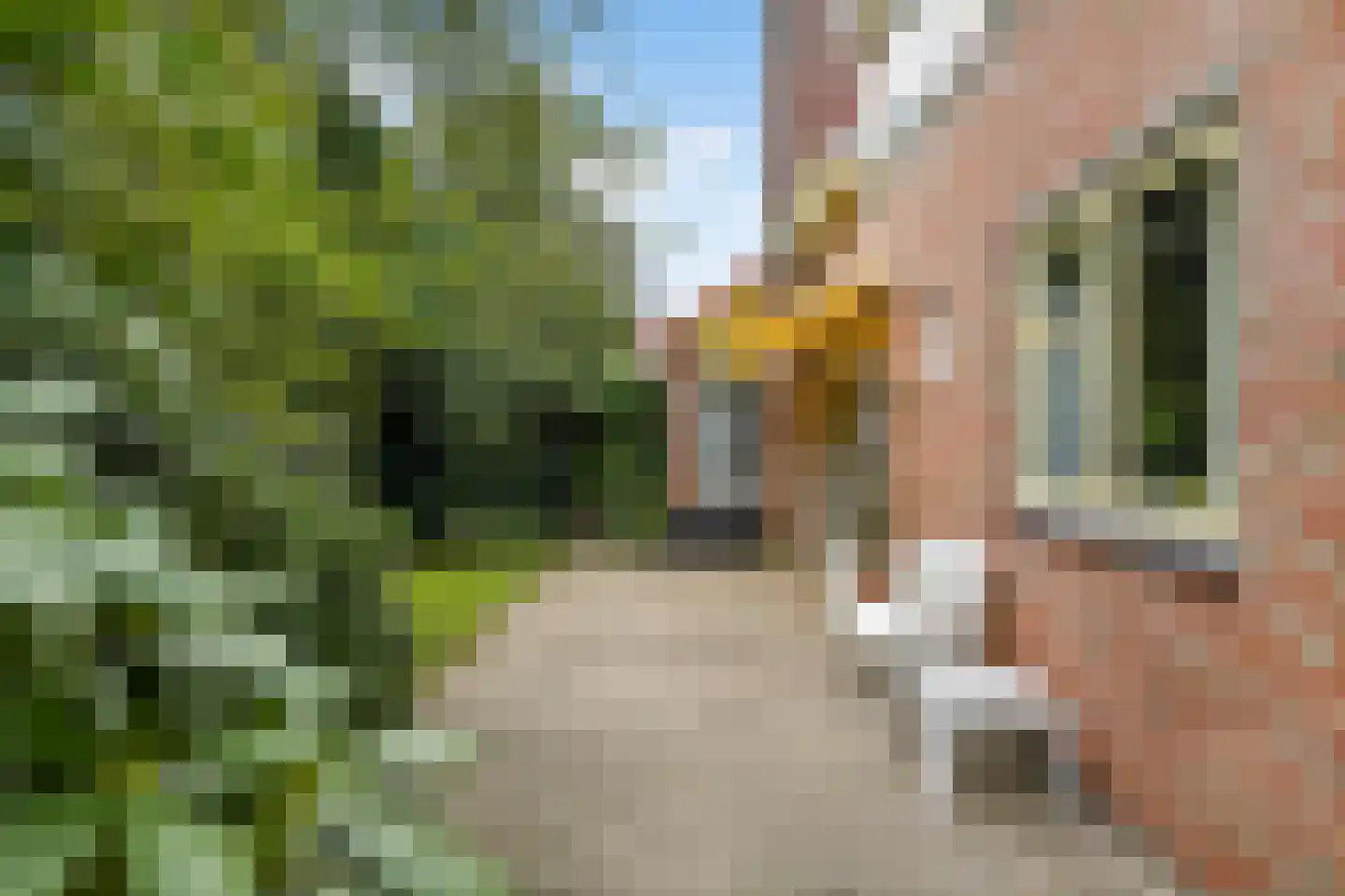 Magnolialaan 21 Heelsum thumbnail 31