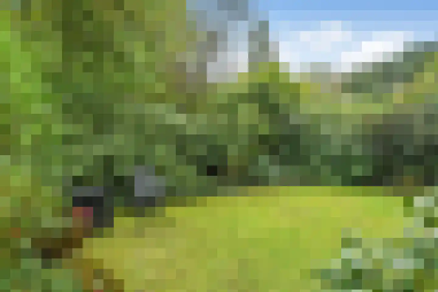 Magnolialaan 21 Heelsum thumbnail 34