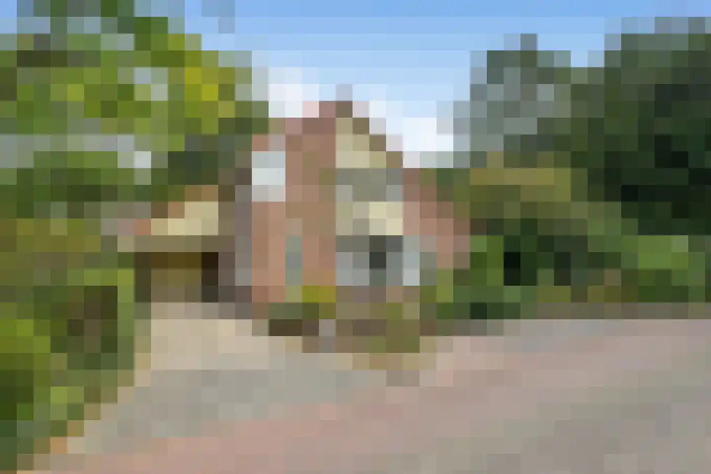 Magnolialaan 21 Heelsum thumbnail 36