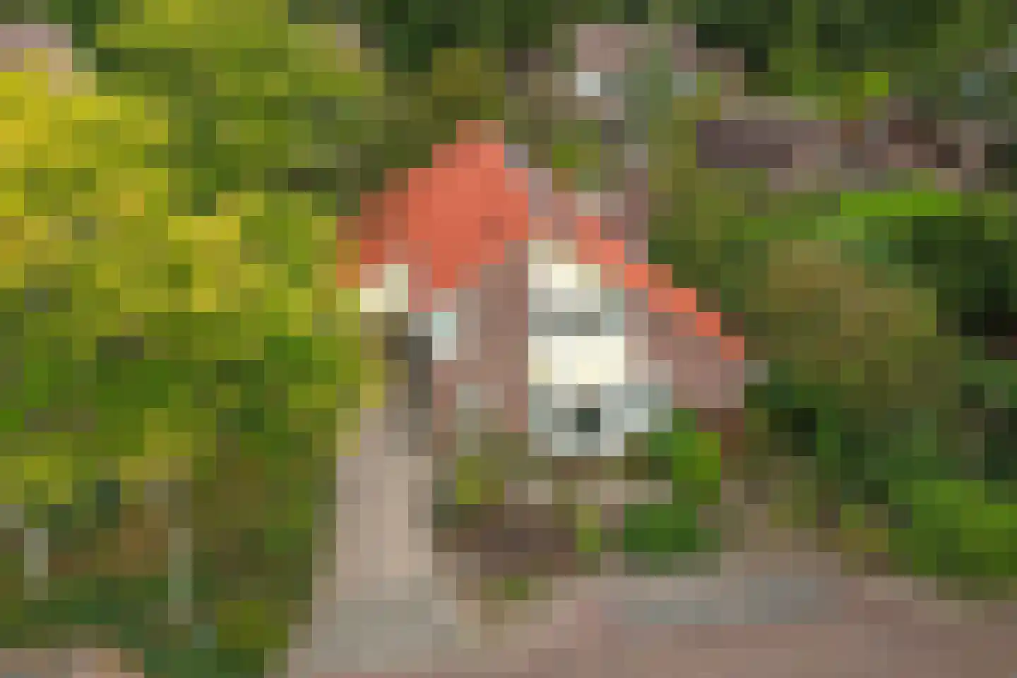 Magnolialaan 21 Heelsum thumbnail 37