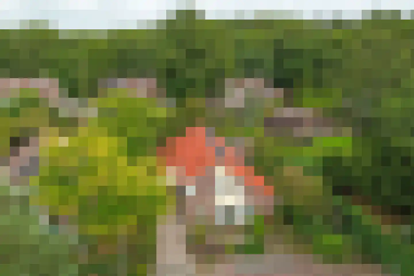 Magnolialaan 21 Heelsum thumbnail 39
