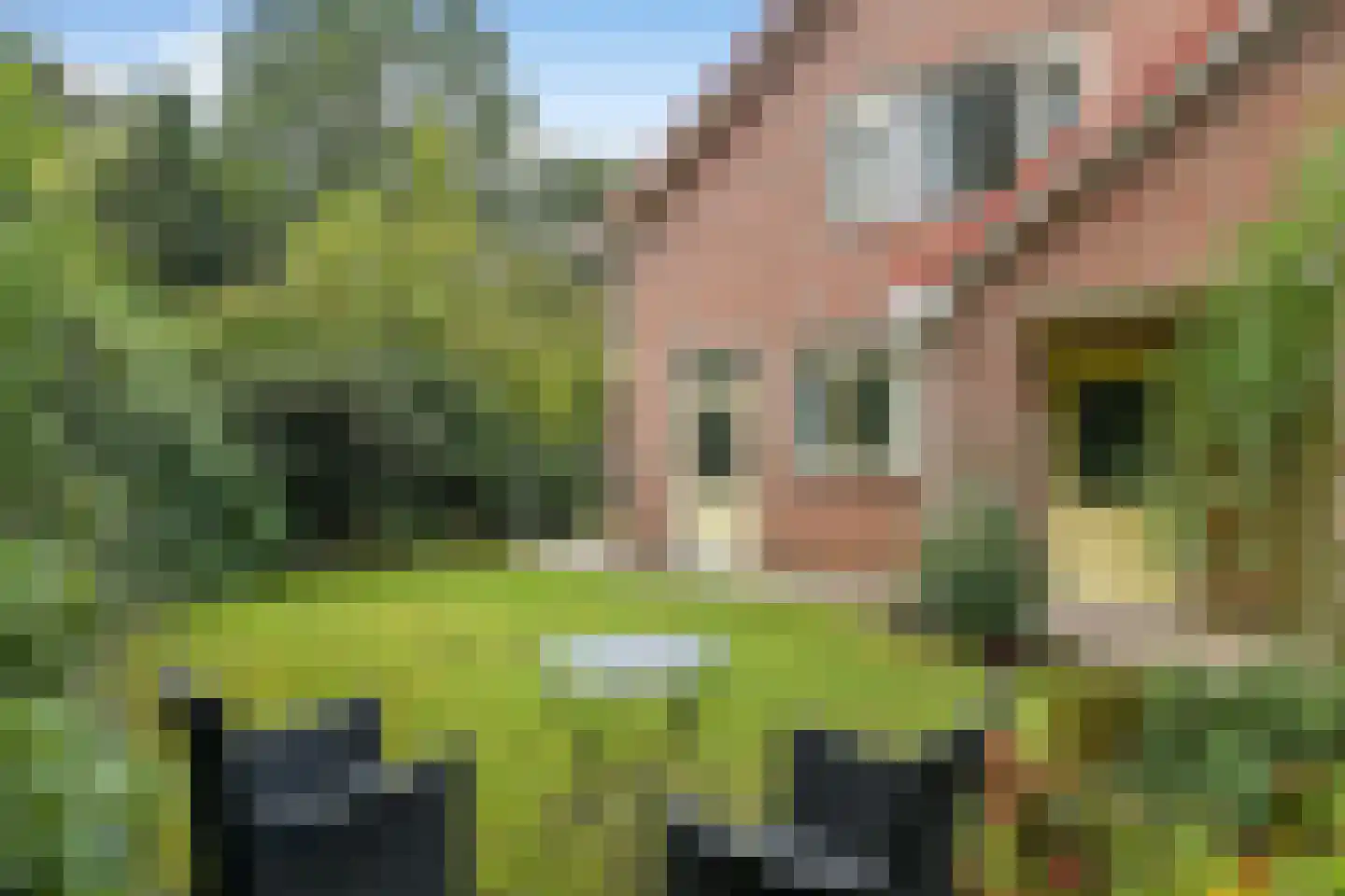 Magnolialaan 21 Heelsum thumbnail 4