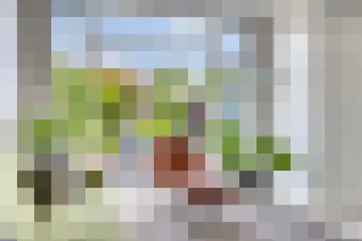 Magnolialaan 24 Lent thumbnail 11