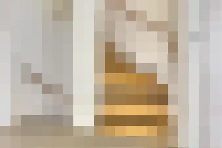 Magnolialaan 24 Lent thumbnail 24