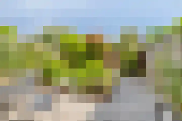 Magnolialaan 24 Lent thumbnail 29