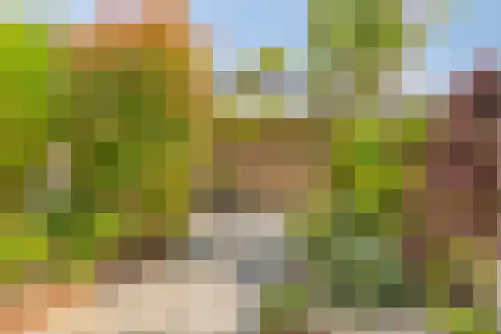 Magnolialaan 24 Lent thumbnail 30