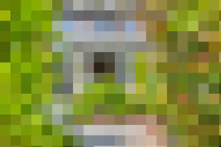 Magnolialaan 24 Lent thumbnail 32